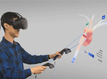 How 3D blood flow may guide treatment in cardiovascular disease.